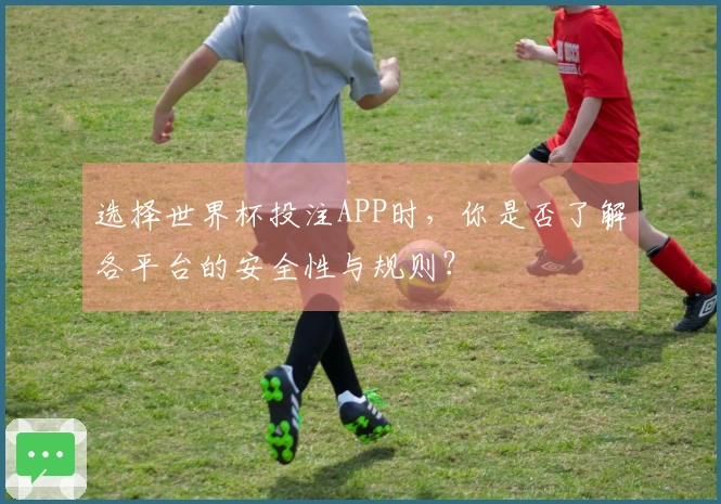 选择世界杯投注APP时，你是否了解各平台的安全性与规则？