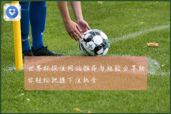 世界杯投注网站推荐与经验分享助你轻松把握下注机会