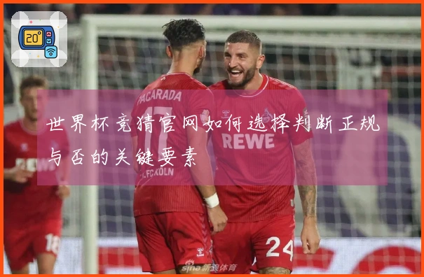 世界杯竞猜官网如何选择判断正规与否的关键要素