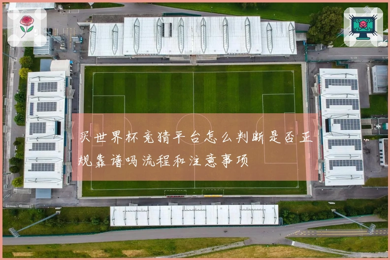 买世界杯竞猜平台怎么判断是否正规靠谱吗流程和注意事项