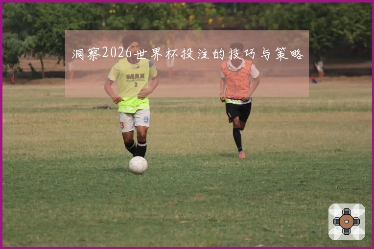 洞察2026世界杯投注的技巧与策略