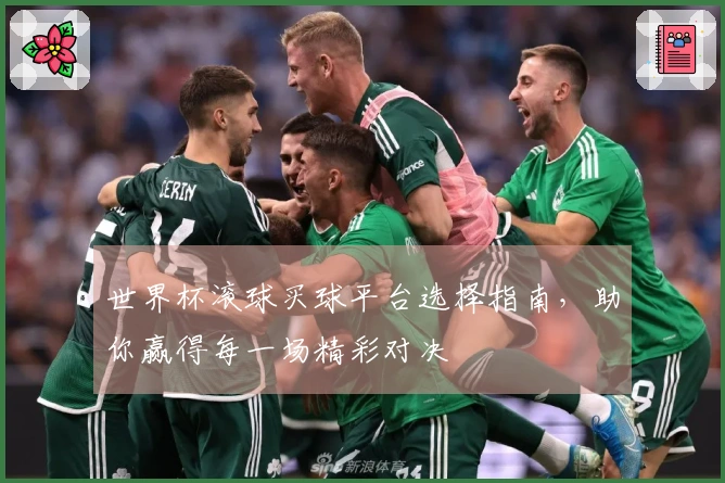 世界杯滚球买球平台选择指南，助你赢得每一场精彩对决