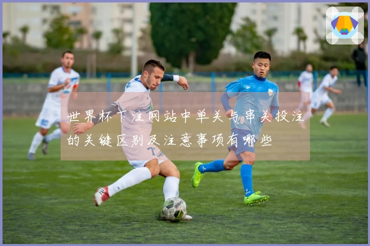 世界杯下注网站中单关与串关投注的关键区别及注意事项有哪些