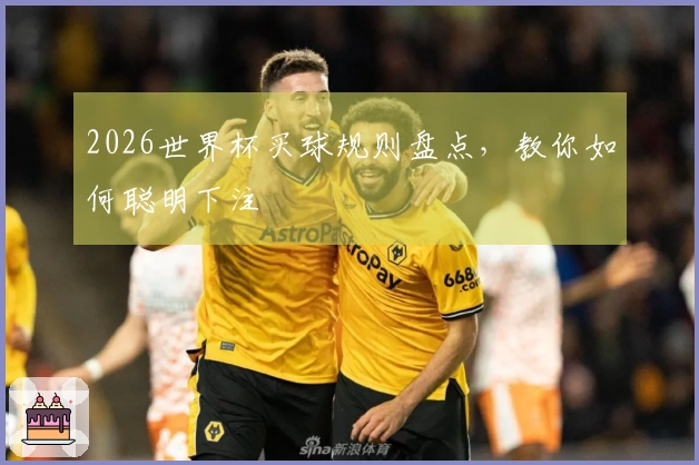 2026世界杯买球规则盘点，教你如何聪明下注