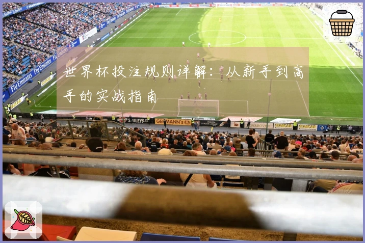 世界杯投注规则详解：从新手到高手的实战指南