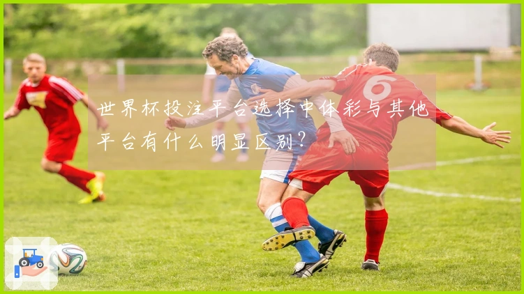 世界杯投注平台选择中体彩与其他平台有什么明显区别？