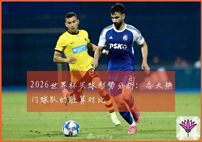 2026世界杯买球形势分析：各大热门球队的胜算对比