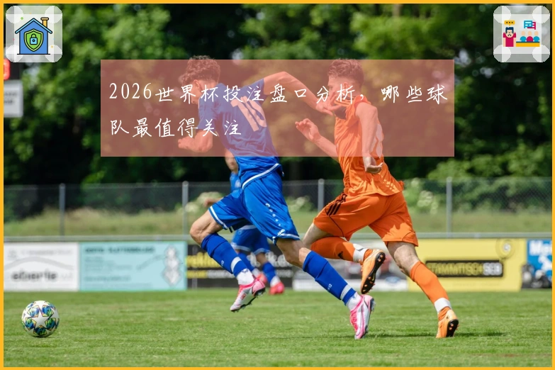 2026世界杯投注盘口分析，哪些球队最值得关注