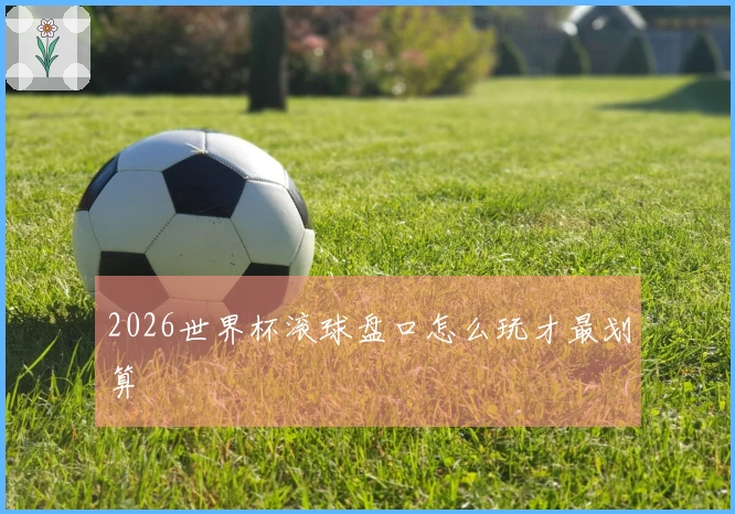 2026世界杯滚球盘口怎么玩才最划算