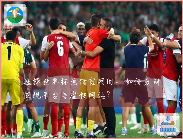 选择世界杯竞猜官网时，如何分辨正规平台与虚假网站？