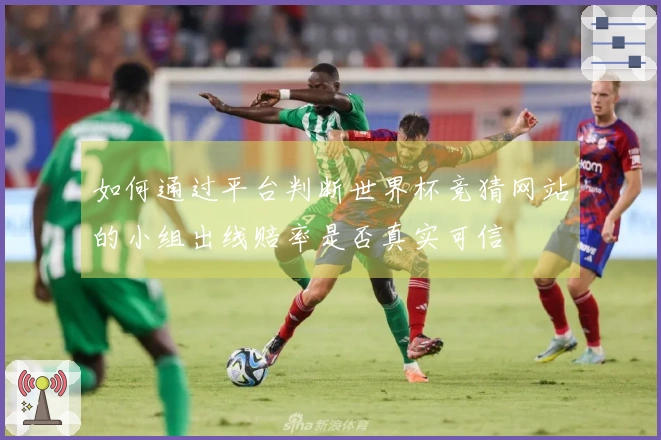 如何通过平台判断世界杯竞猜网站的小组出线赔率是否真实可信