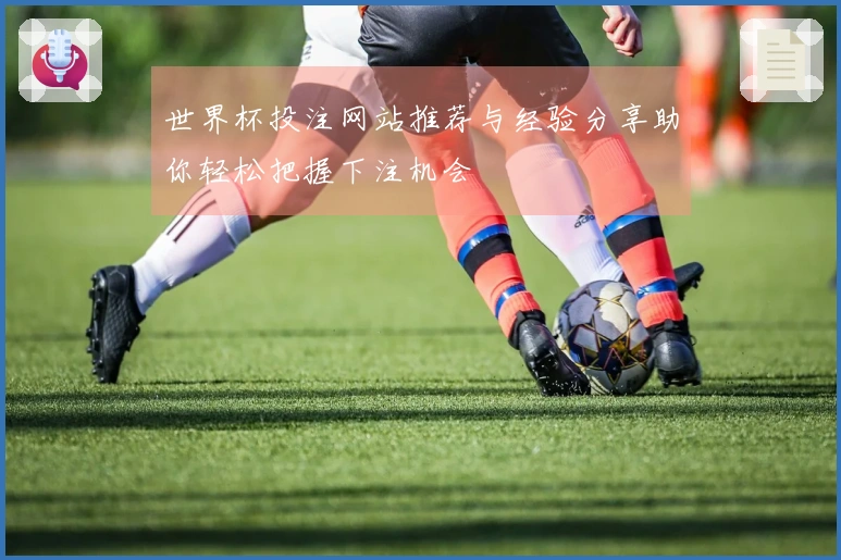 世界杯投注网站推荐与经验分享助你轻松把握下注机会