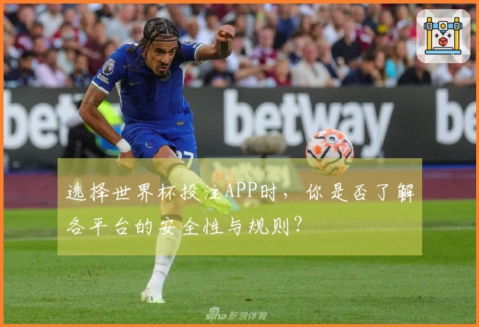 选择世界杯投注APP时，你是否了解各平台的安全性与规则？
