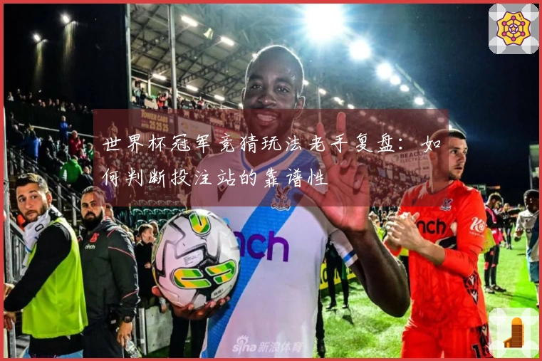 世界杯冠军竞猜玩法老手复盘：如何判断投注站的靠谱性