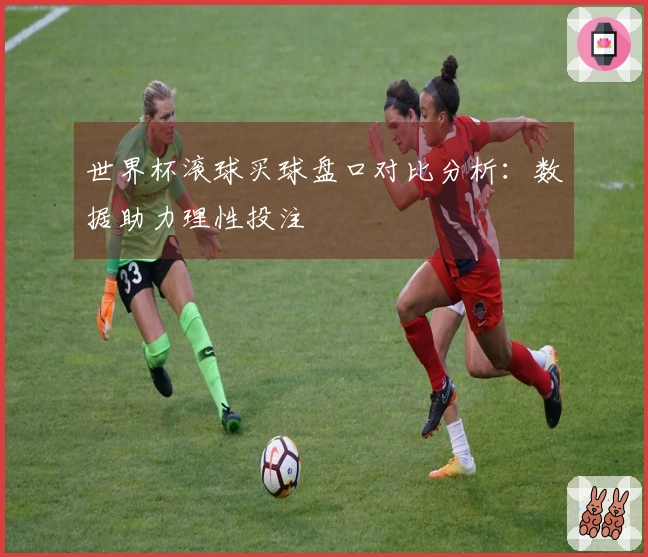 世界杯滚球买球盘口对比分析：数据助力理性投注