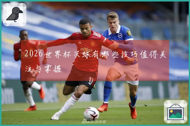 2026世界杯买球有哪些技巧值得关注与掌握