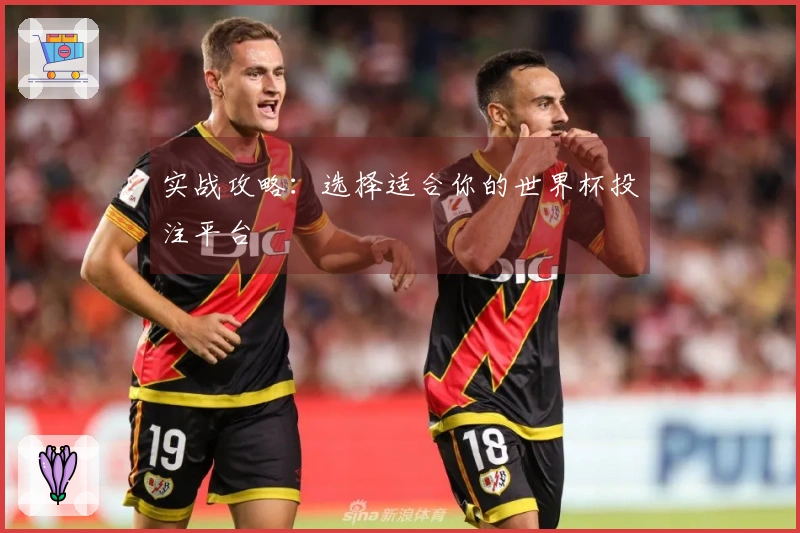 实战攻略：选择适合你的世界杯投注平台