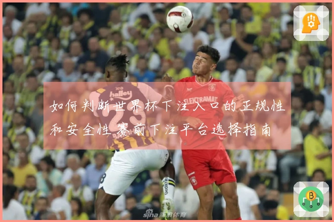 如何判断世界杯下注入口的正规性和安全性 赛前下注平台选择指南