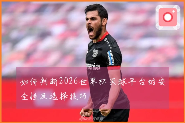 如何判断2026世界杯买球平台的安全性及选择技巧