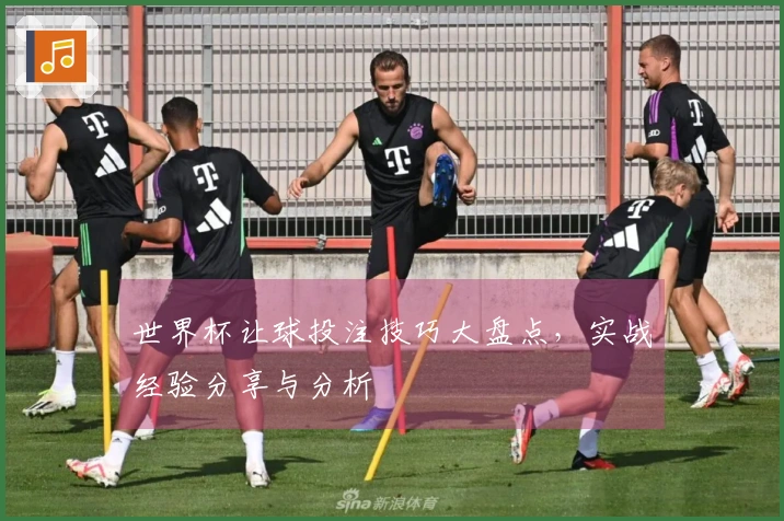 世界杯让球投注技巧大盘点，实战经验分享与分析