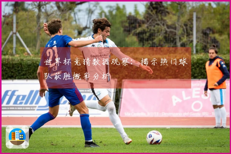 世界杯竞猜数据观察：揭示热门球队获胜概率分析