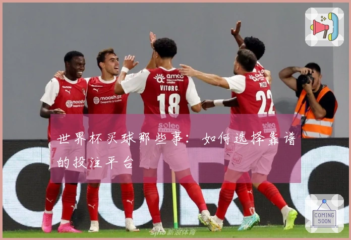 世界杯买球那些事：如何选择靠谱的投注平台
