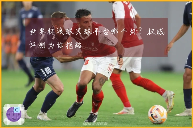 世界杯滚球买球平台哪个好？权威评测为你指路