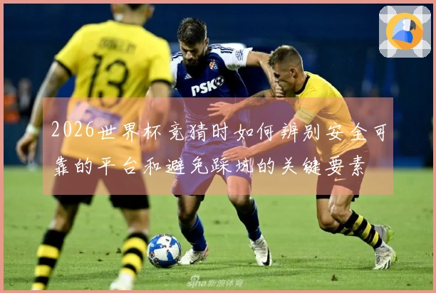 2026世界杯竞猜时如何辨别安全可靠的平台和避免踩坑的关键要素