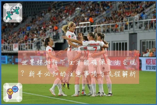 世界杯如何下注才能确保合法合规？新手必知的注意事项与流程解析