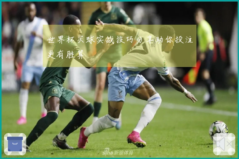 世界杯买球实战技巧分享助你投注更有胜算