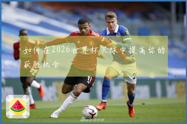 如何在2026世界杯买球中提高你的获胜机会