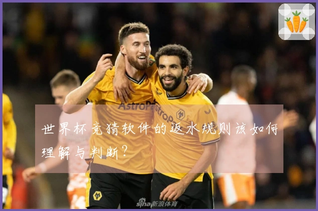 世界杯竞猜软件的返水规则该如何理解与判断？