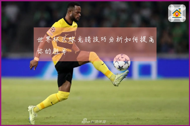 世界杯买球竞猜技巧分析如何提高你的胜率